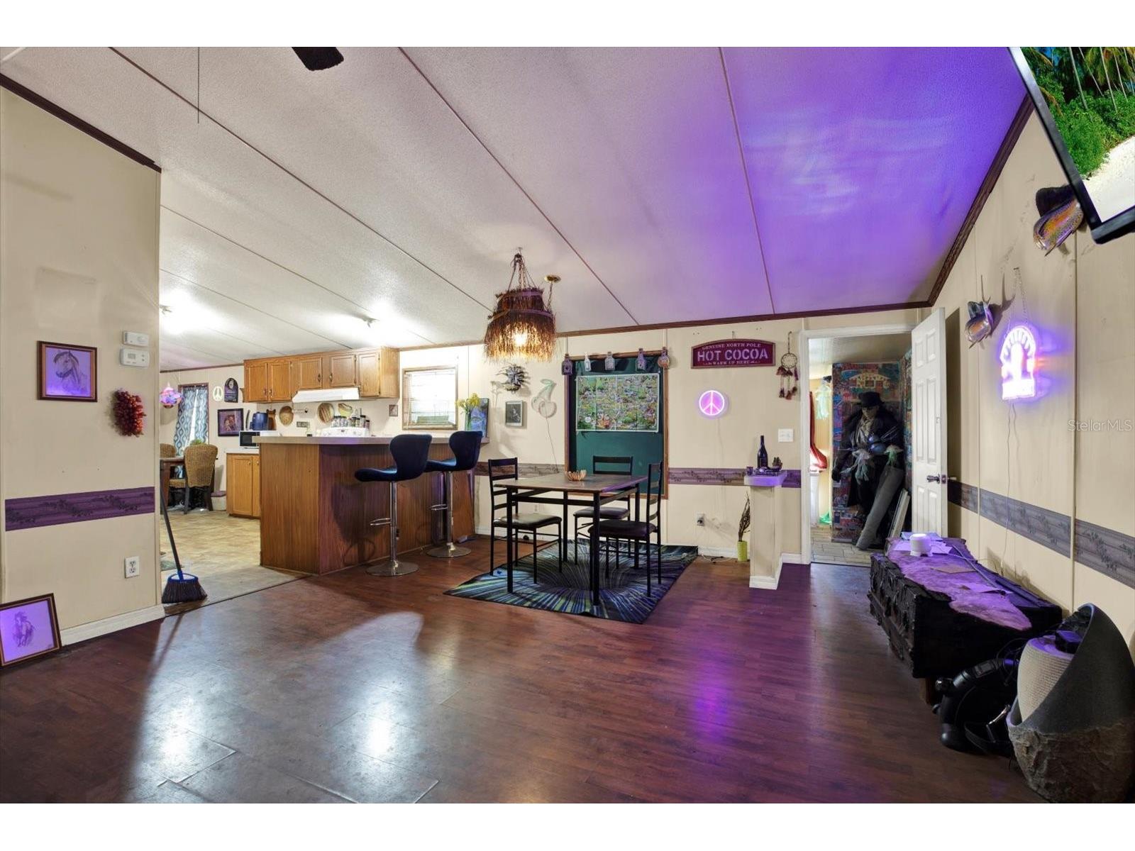 3642 Kalman Drive Zephyrhills FL 33541 TB8506841 image11
