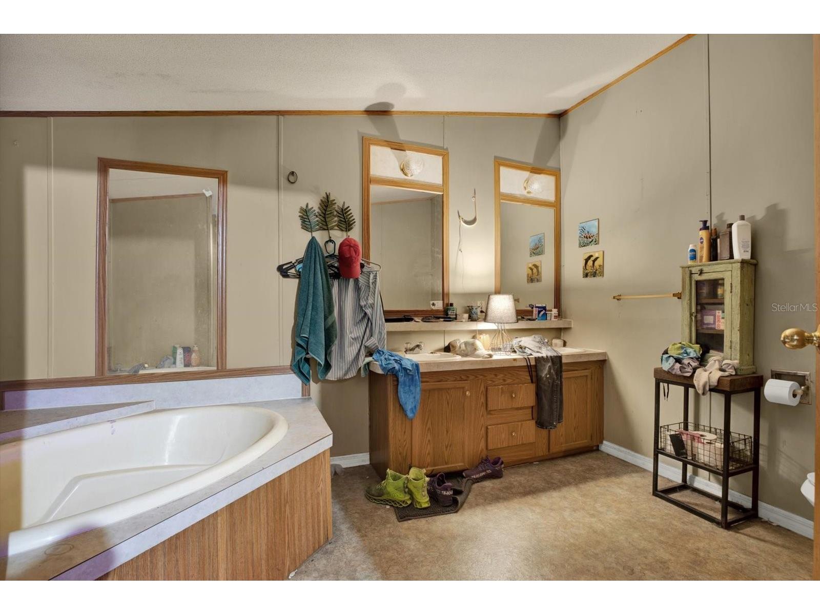 3642 Kalman Drive Zephyrhills FL 33541 TB8506841 image16