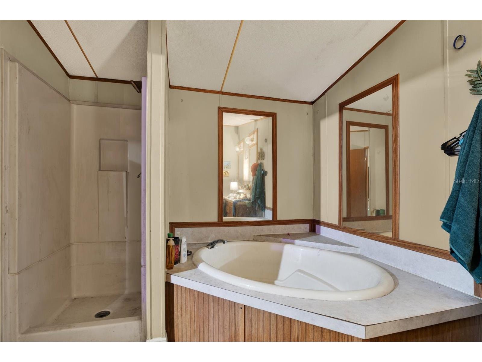 3642 Kalman Drive Zephyrhills FL 33541 TB8506841 image17
