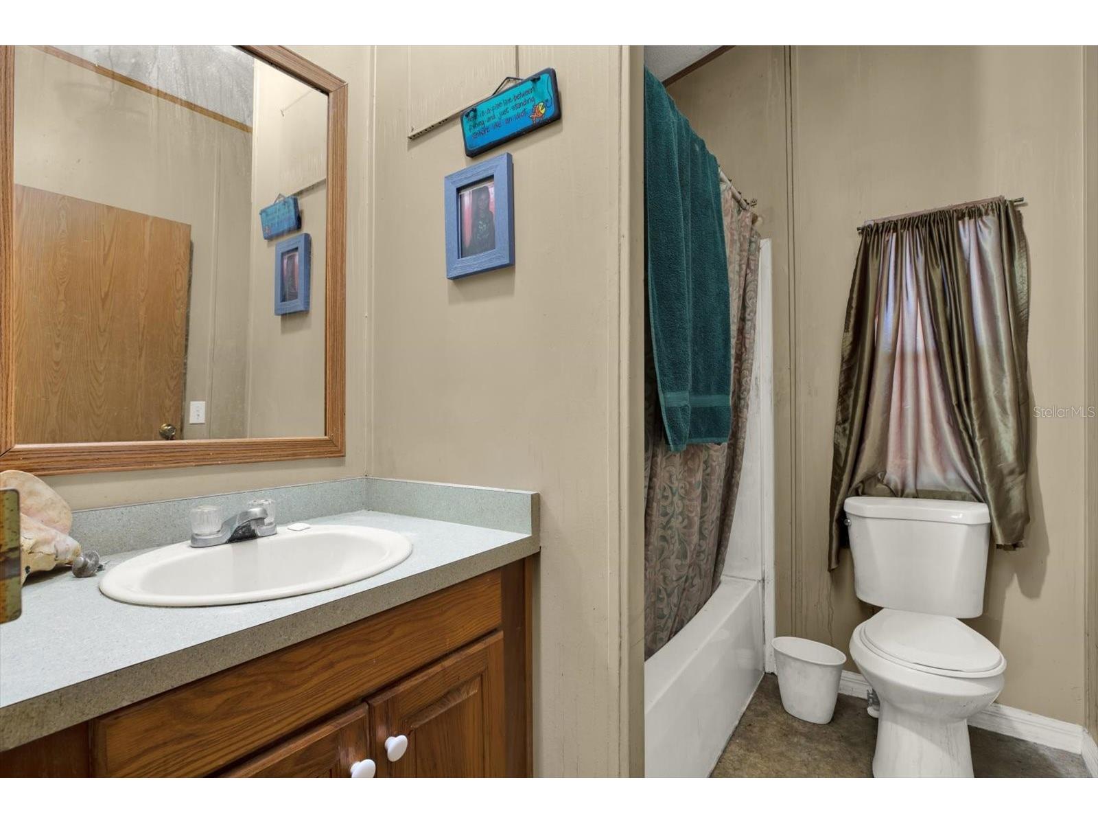 3642 Kalman Drive Zephyrhills FL 33541 TB8506841 image18