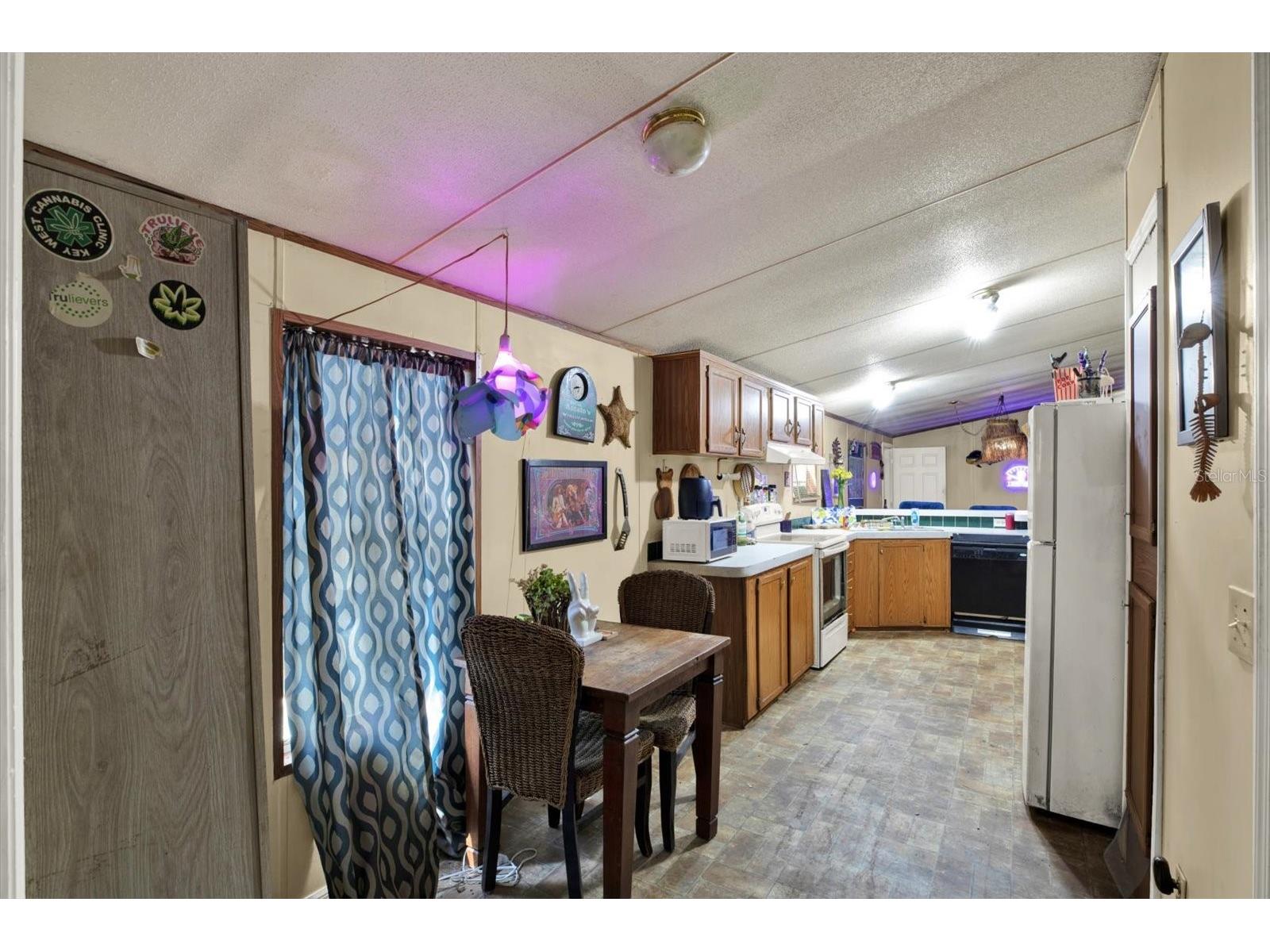 3642 Kalman Drive Zephyrhills FL 33541 TB8506841 image7