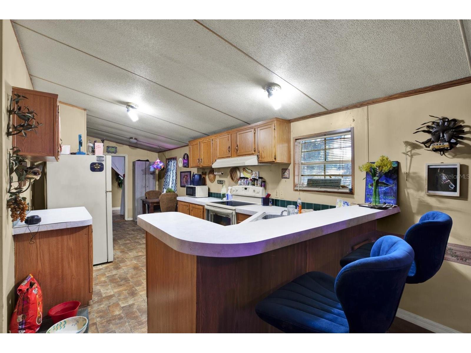 3642 Kalman Drive Zephyrhills FL 33541 TB8506841 image8