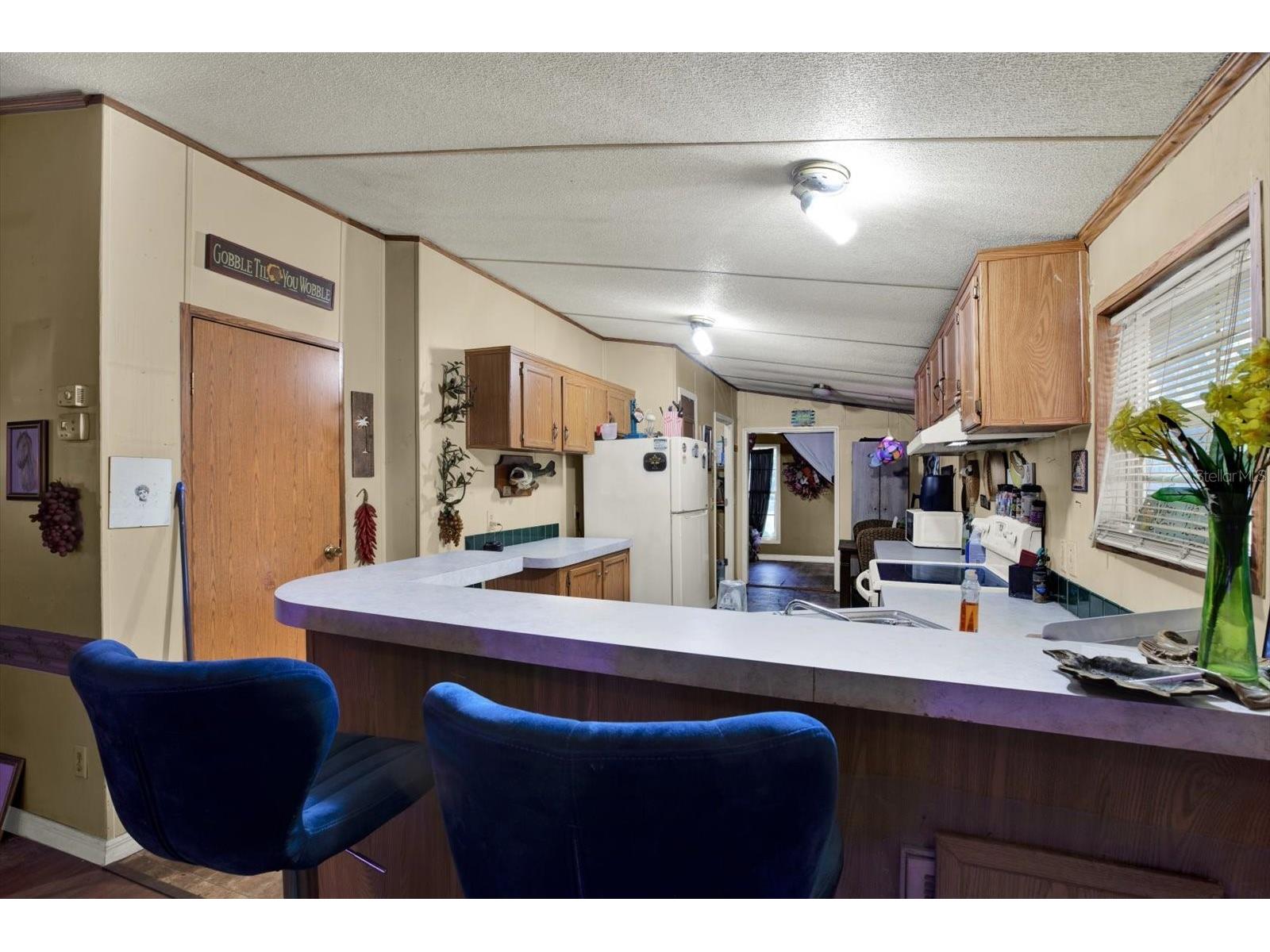 3642 Kalman Drive Zephyrhills FL 33541 TB8506841 image9