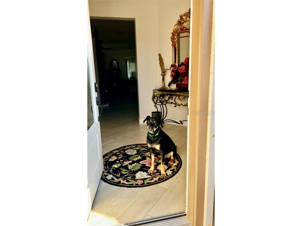 3642 NW 55th Circle Ocala FL 34482 OM690338 image17