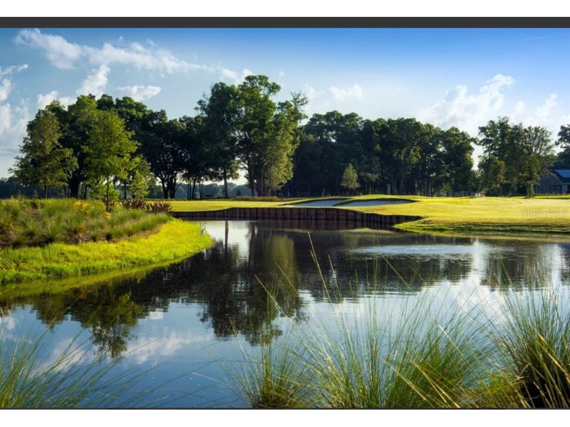 3642 NW 55th Circle Ocala FL 34482 OM690338 image86