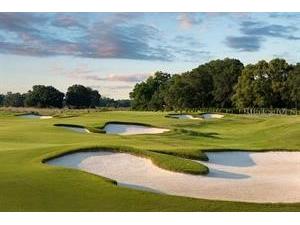 3642 NW 55th Circle Ocala FL 34482 OM690338 image88