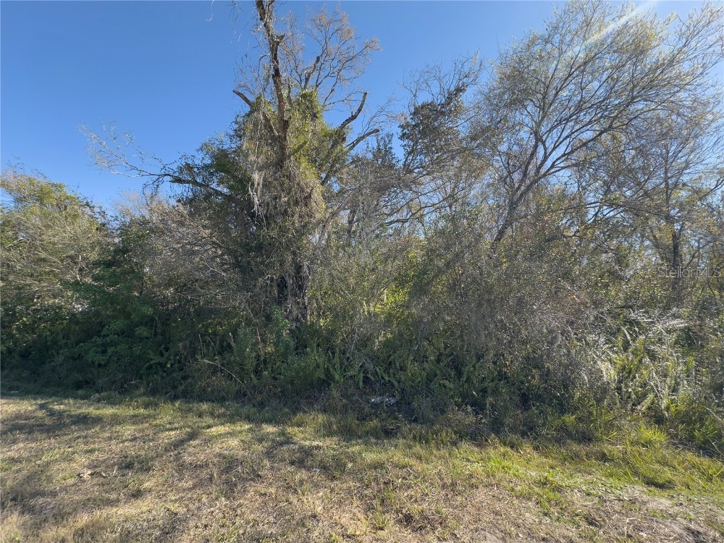 36424 Singletary Road Myakka City FL 34251 A4677337 image2