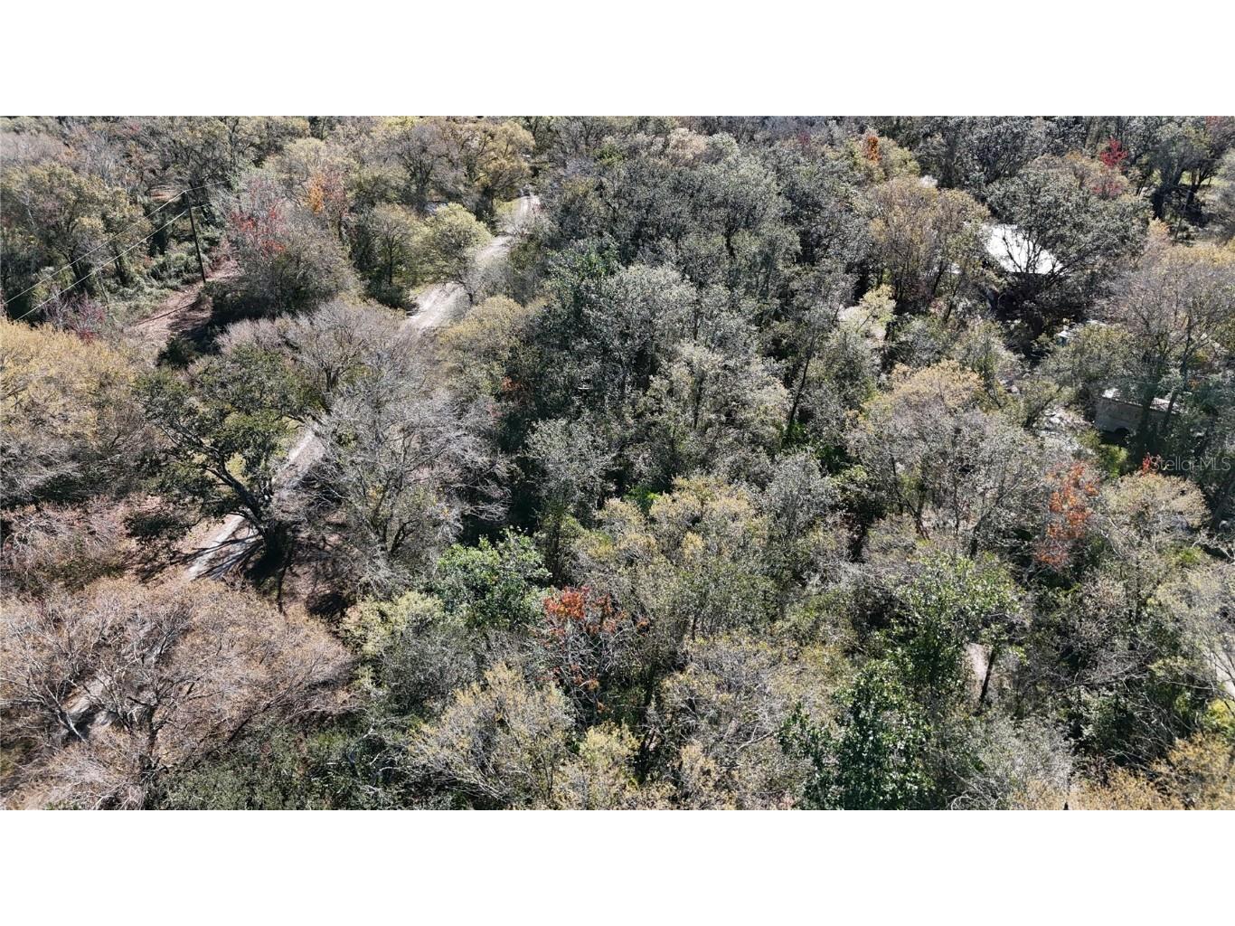 36424 Singletary Road Myakka City FL 34251 A4677337 image4