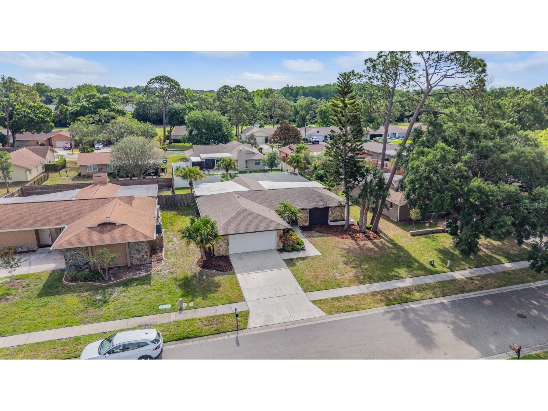3643 Fairway Forest Circle Palm Harbor FL 34685 TB8499957 image37