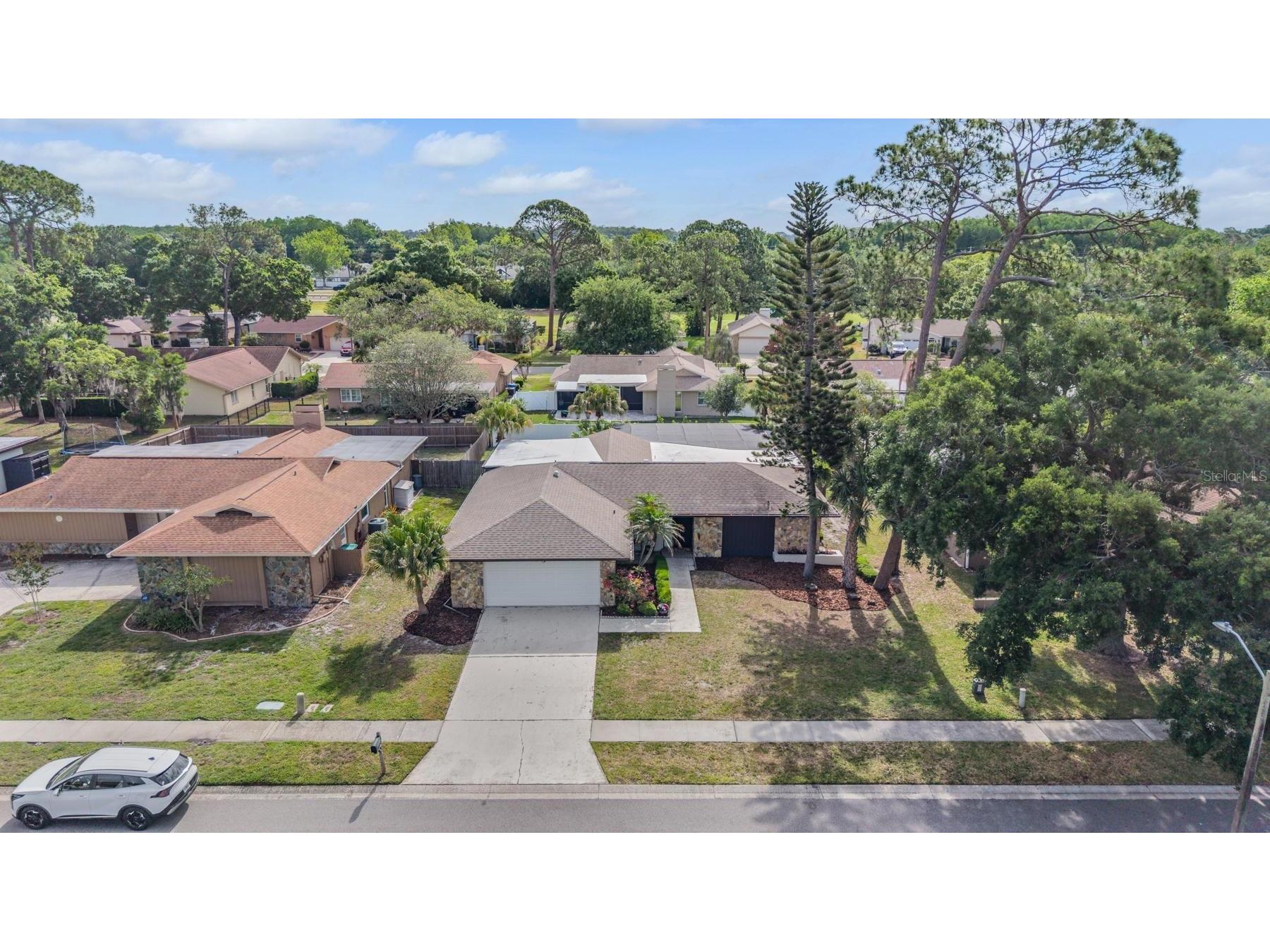 3643 Fairway Forest Circle Palm Harbor FL 34685 TB8499957 image38