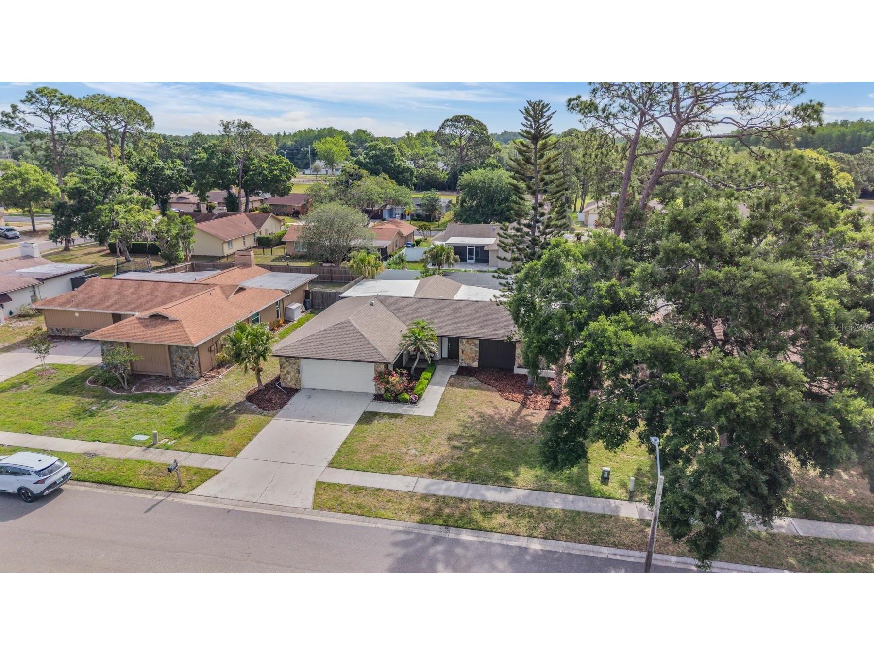 3643 Fairway Forest Circle Palm Harbor FL 34685 TB8499957 image39
