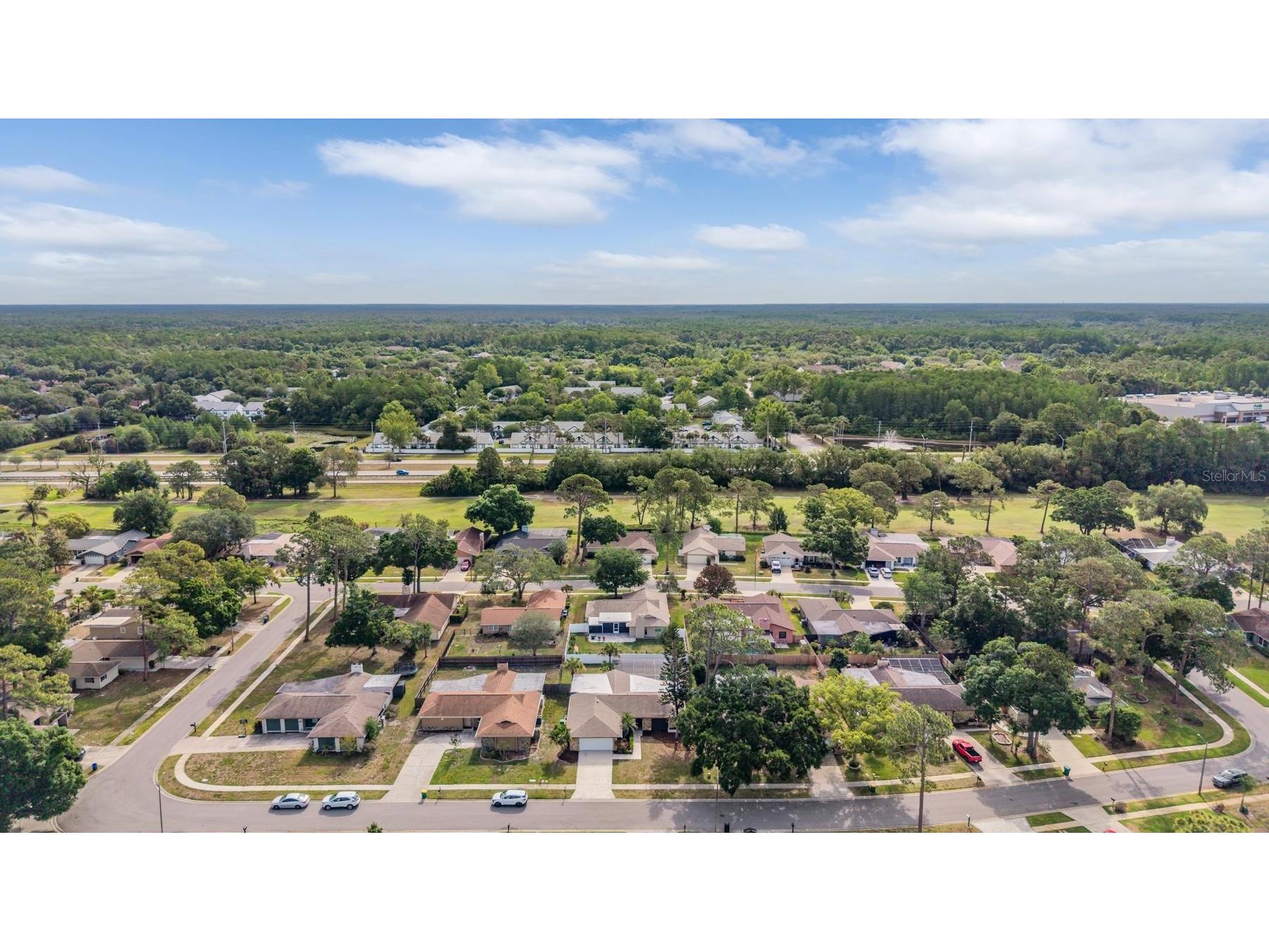3643 Fairway Forest Circle Palm Harbor FL 34685 TB8499957 image40
