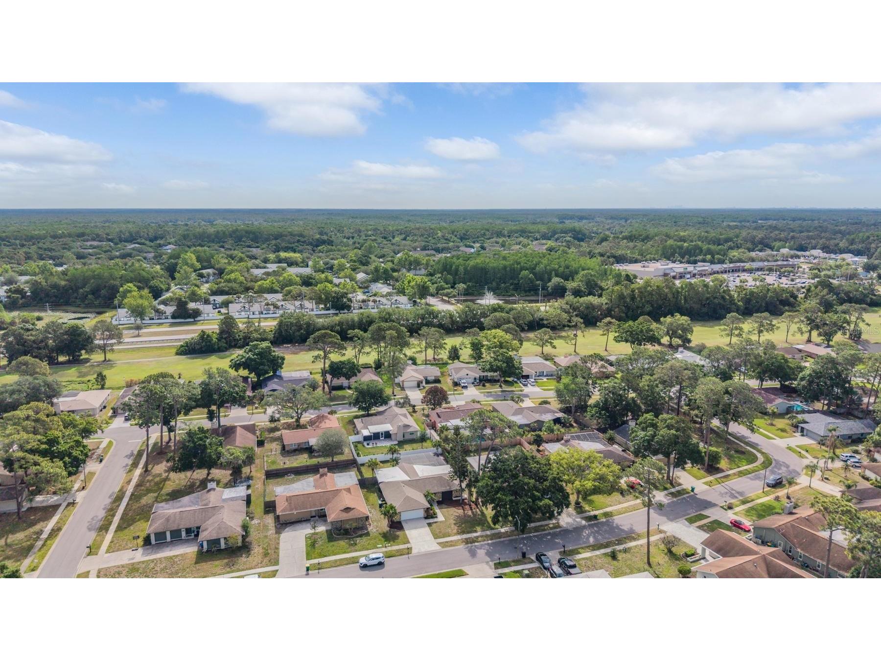 3643 Fairway Forest Circle Palm Harbor FL 34685 TB8499957 image41
