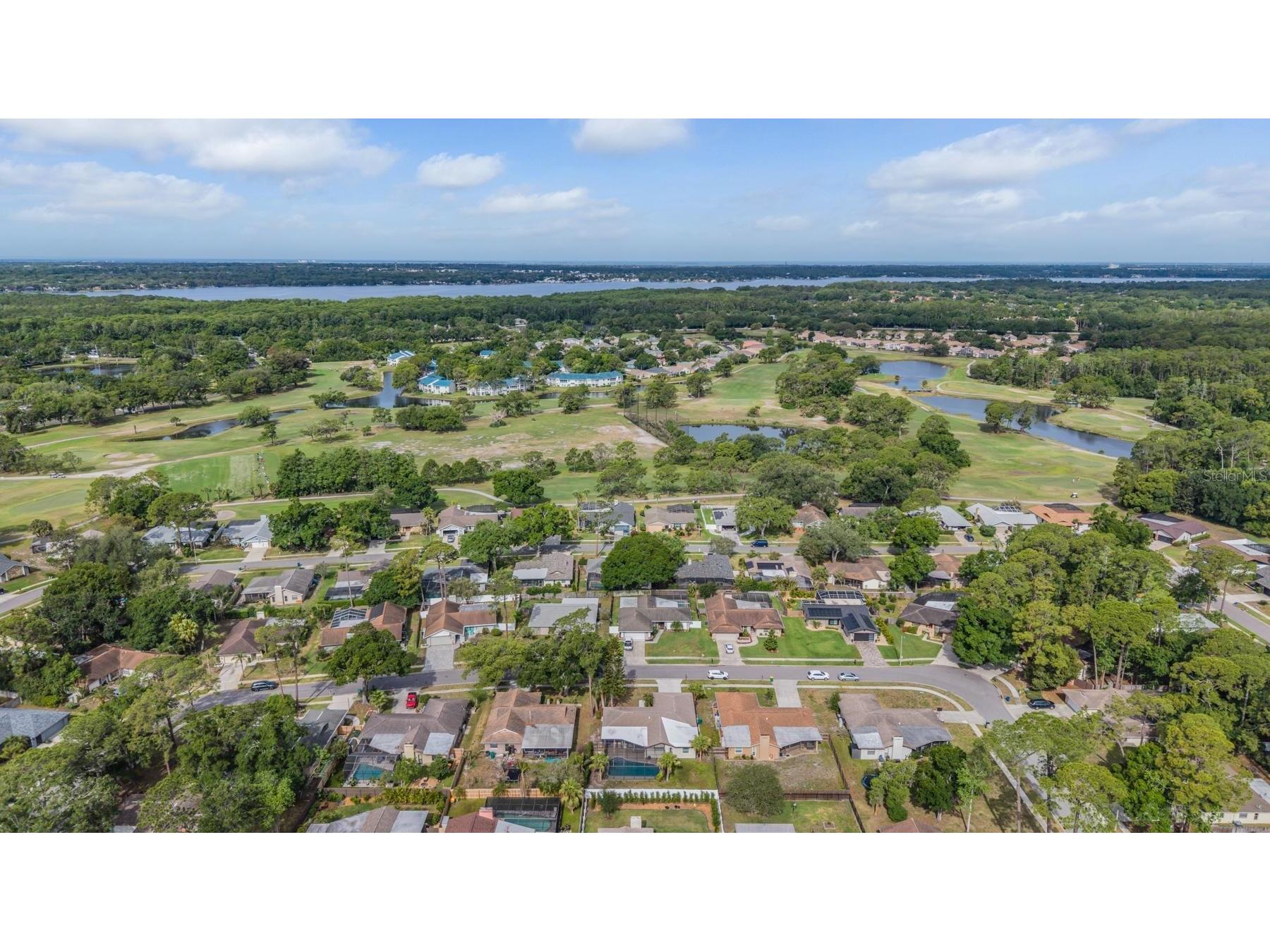 3643 Fairway Forest Circle Palm Harbor FL 34685 TB8499957 image42