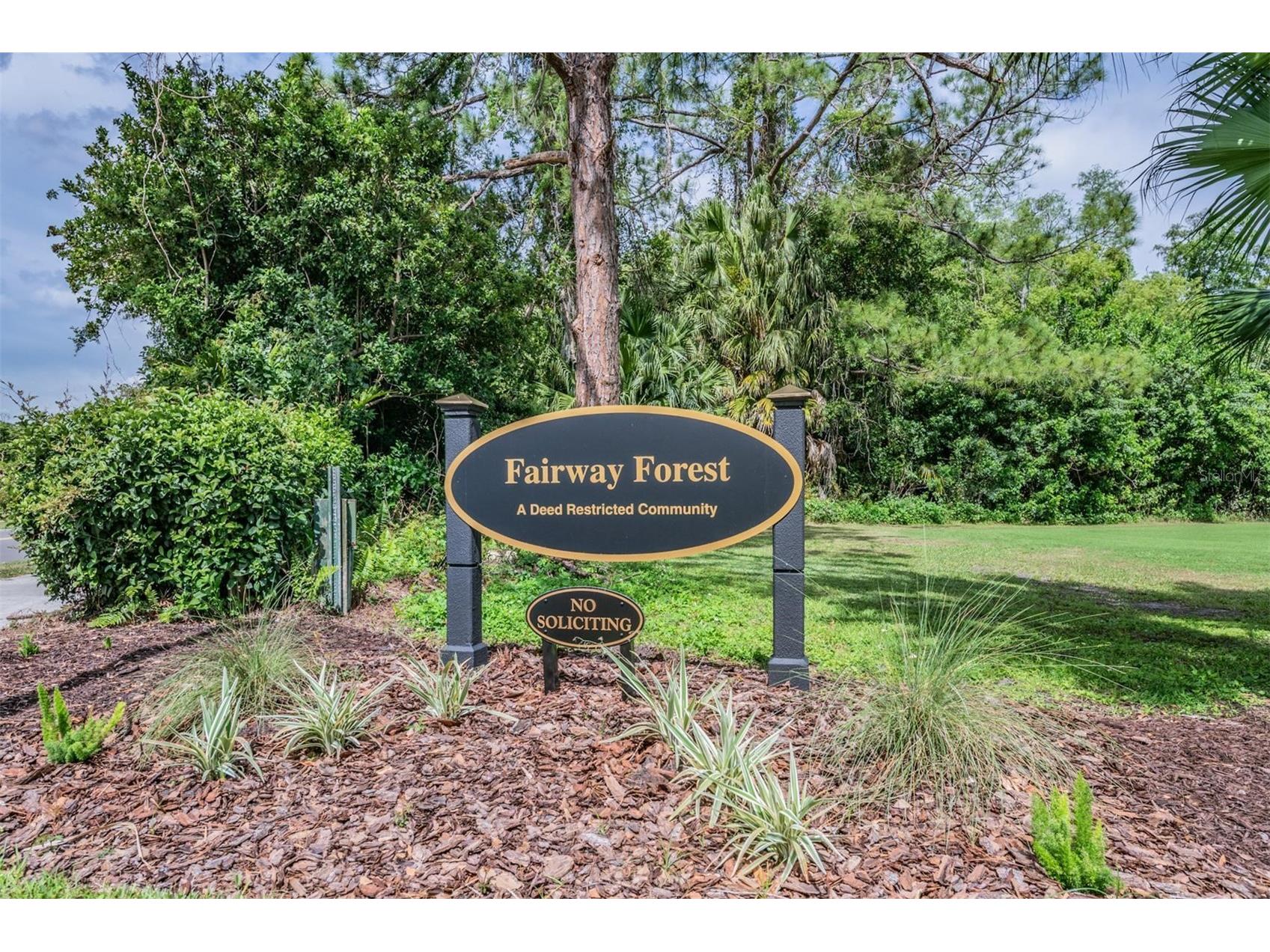 3643 Fairway Forest Circle Palm Harbor FL 34685 TB8499957 image43