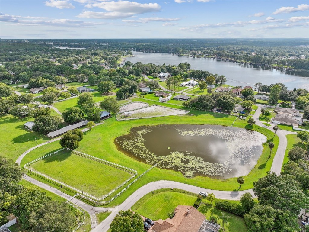 3643 Greatwood Court Land O Lakes FL 34639 TB8450794 image47