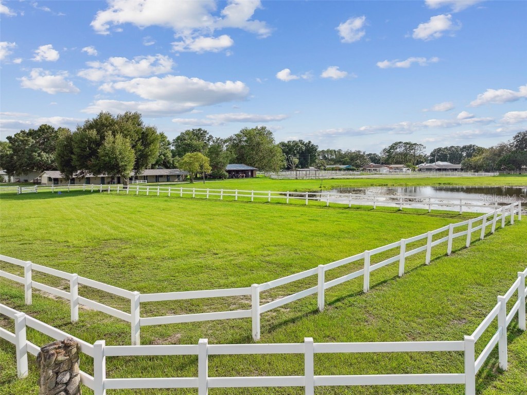 3643 Greatwood Court Land O Lakes FL 34639 TB8450794 image53