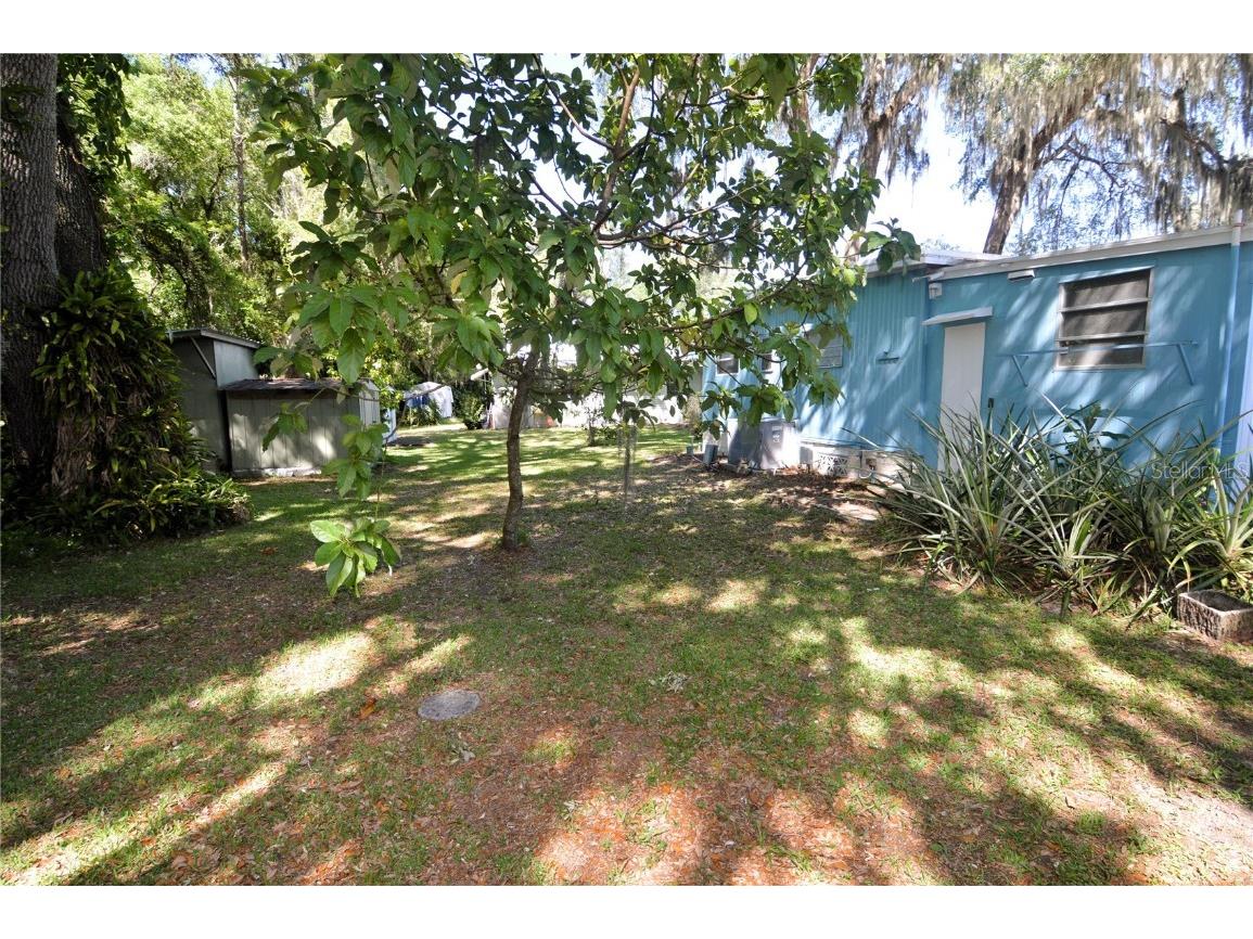 3643 Muller Drive Zephyrhills FL 33540 TB8369917 image28