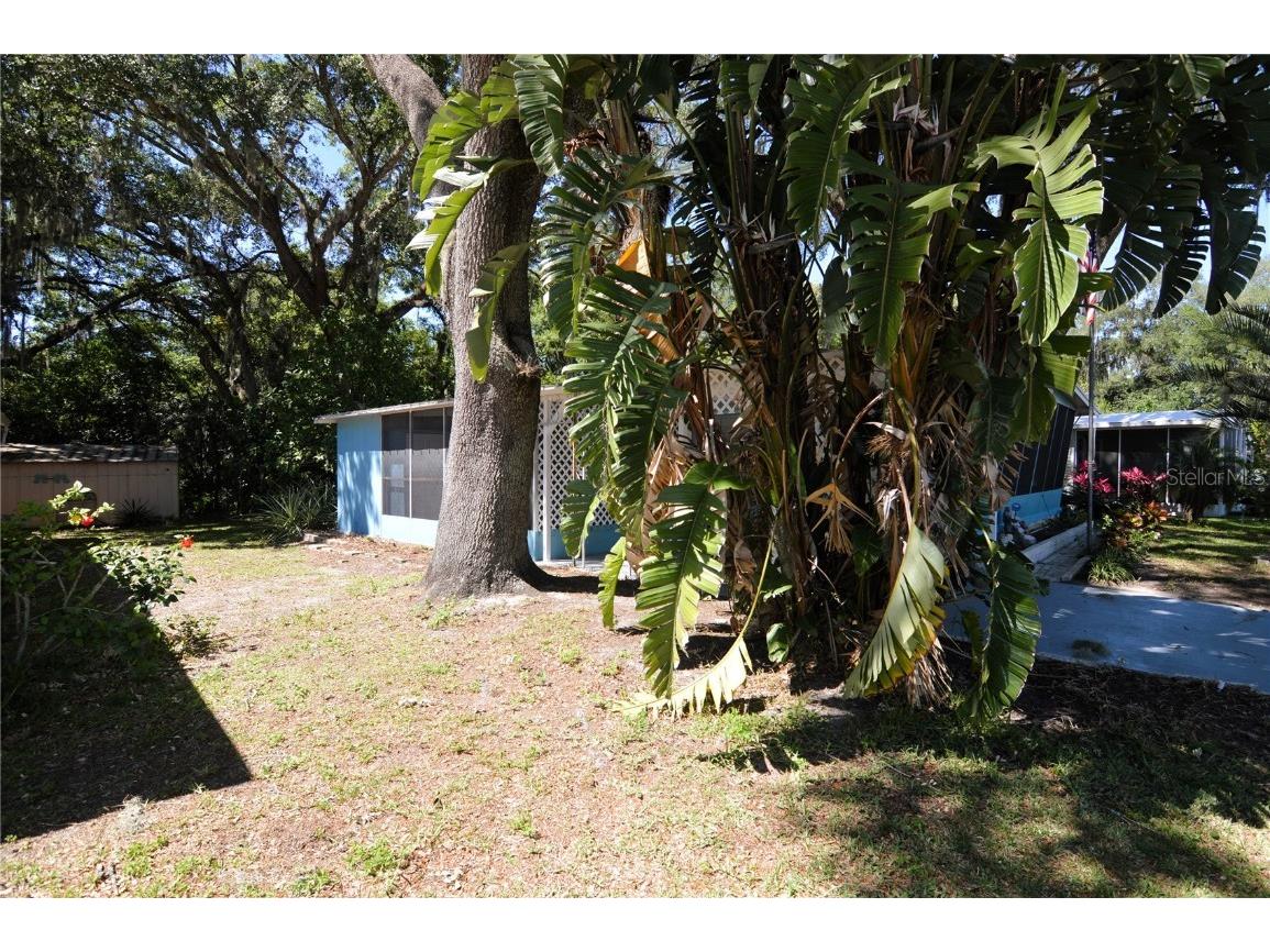 3643 Muller Drive Zephyrhills FL 33540 TB8369917 image34