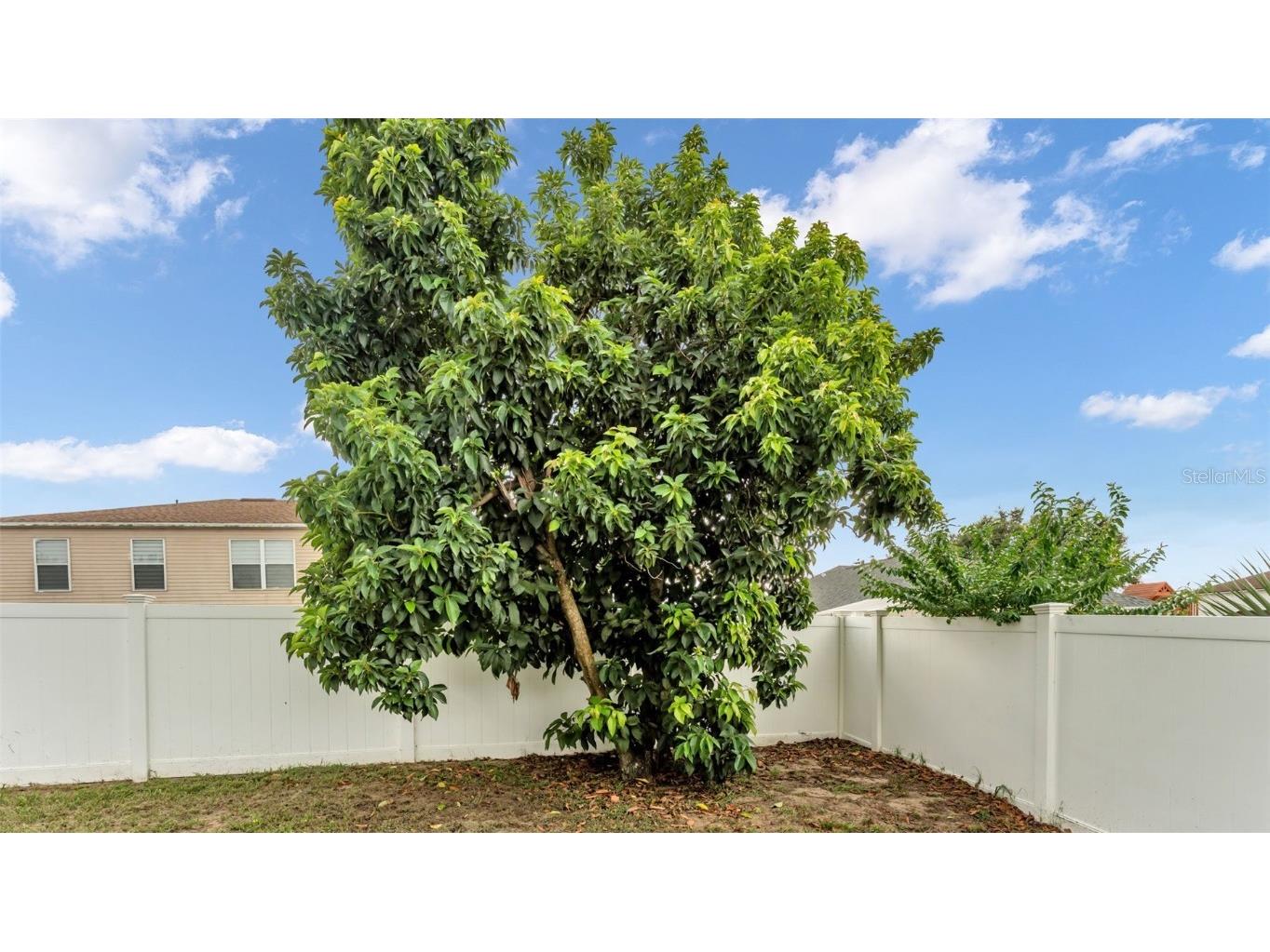 3643 Wellington Place Bartow FL 33830 L4954887 image31