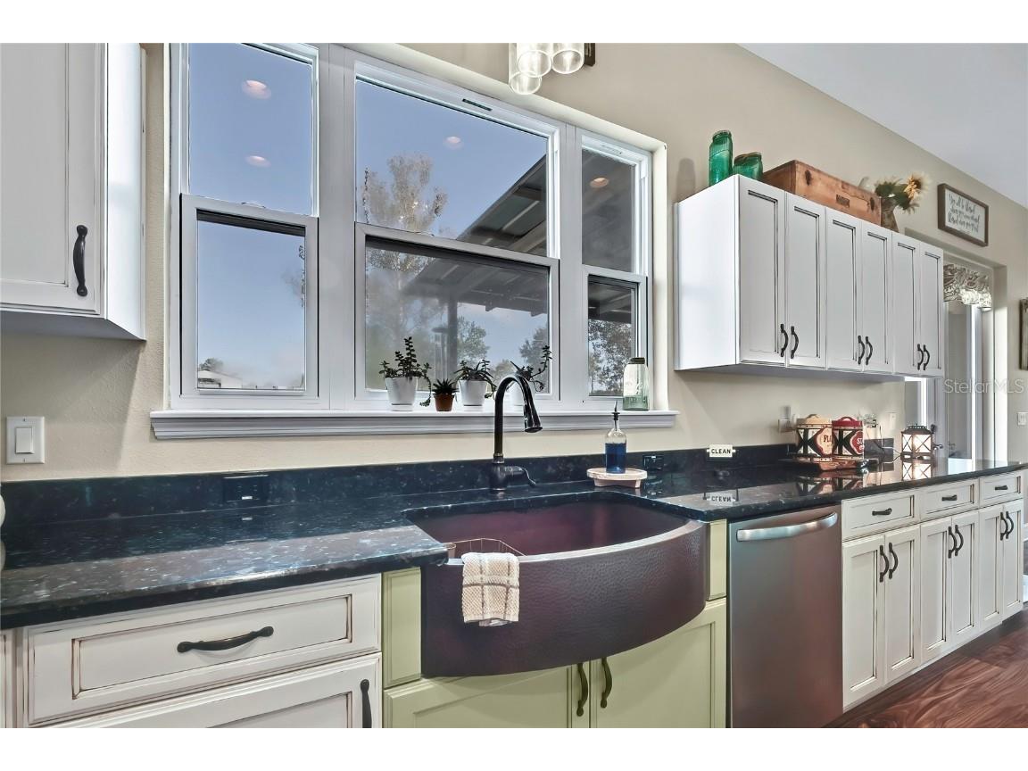 36431 Florrie Mae Lane Dade City FL 33523 W7880574 image27