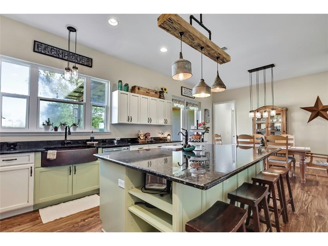 36431 Florrie Mae Lane Dade City FL 33523 W7880574 image28