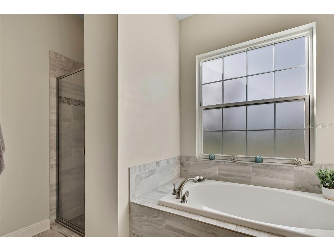 36431 Florrie Mae Lane Dade City FL 33523 W7880574 image34