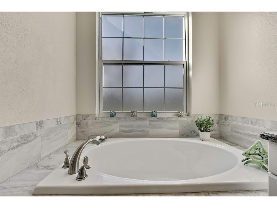 36431 Florrie Mae Lane Dade City FL 33523 W7880574 image35