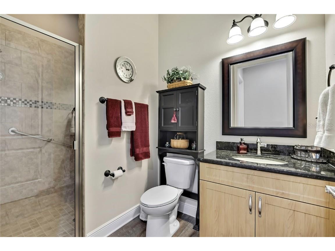 36431 Florrie Mae Lane Dade City FL 33523 W7880574 image39