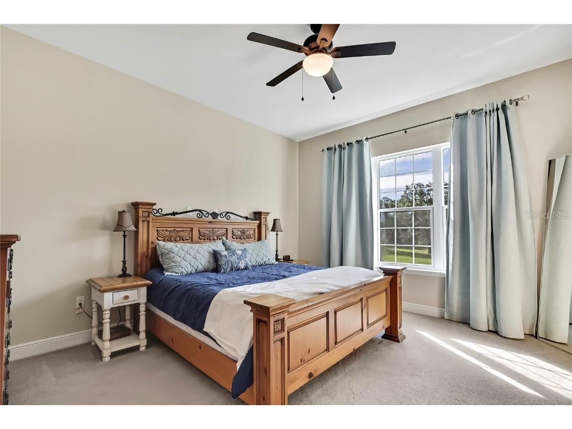 36431 Florrie Mae Lane Dade City FL 33523 W7880574 image40