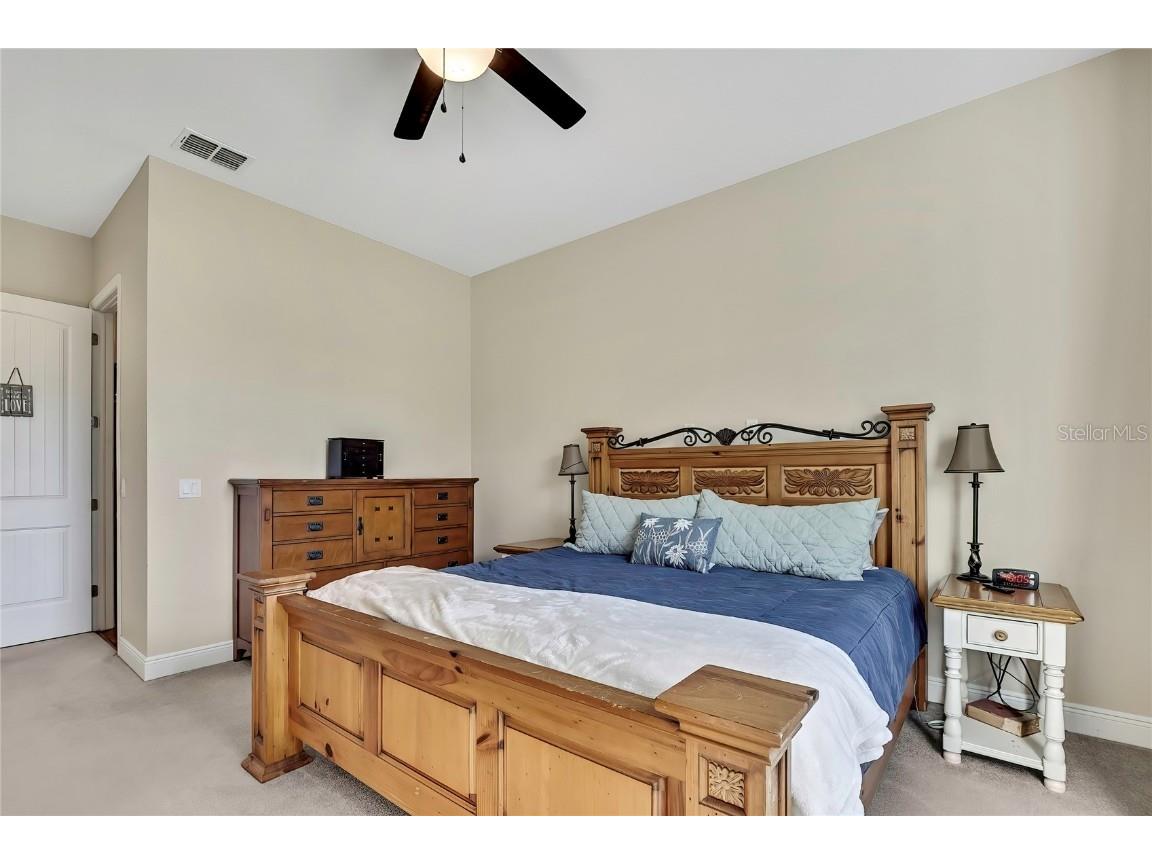 36431 Florrie Mae Lane Dade City FL 33523 W7880574 image41