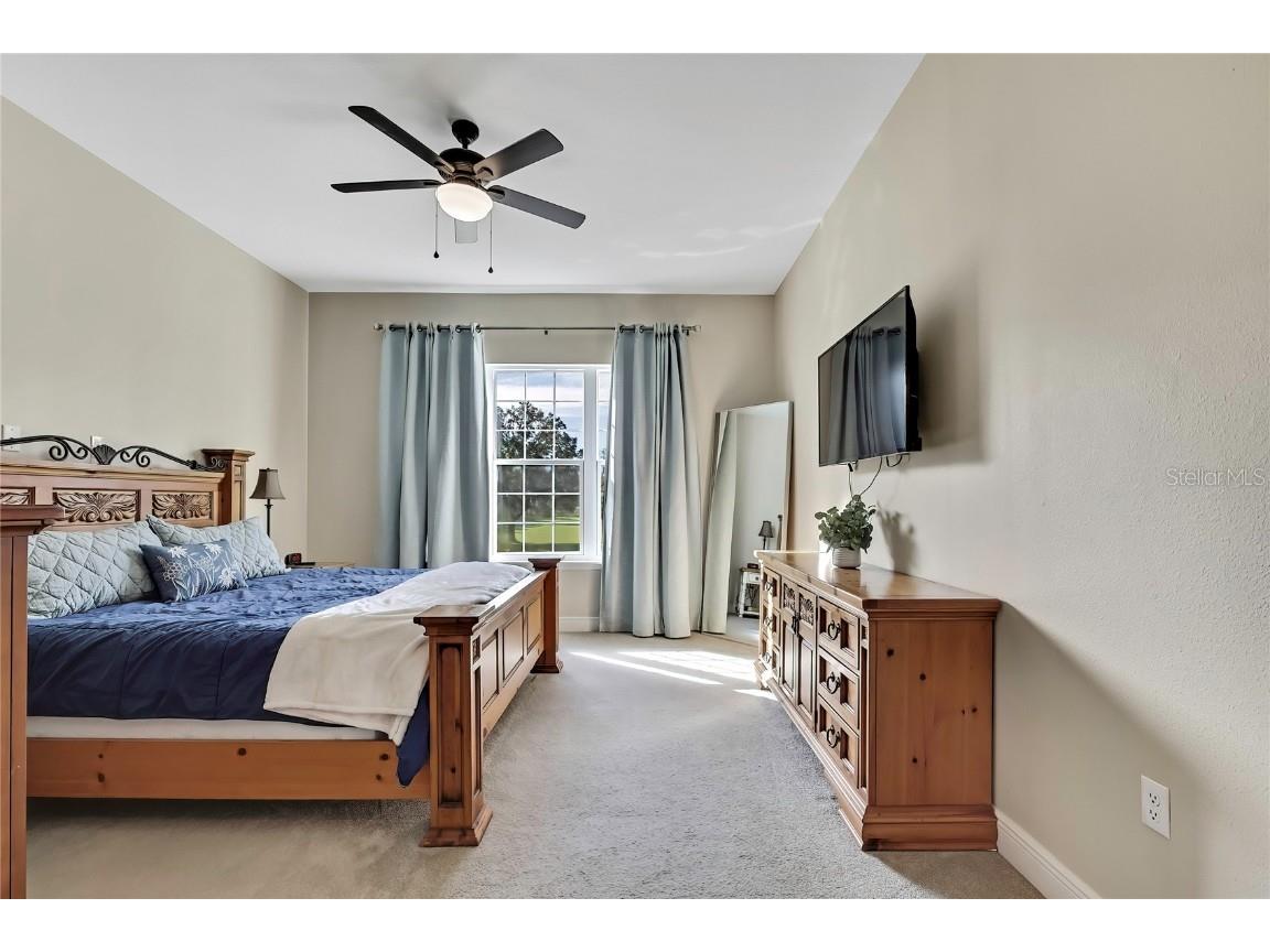 36431 Florrie Mae Lane Dade City FL 33523 W7880574 image42