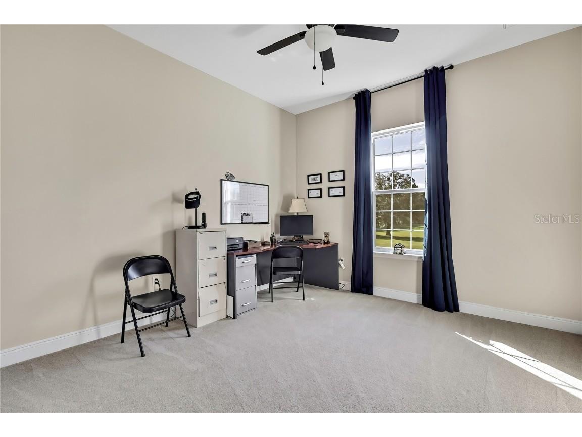 36431 Florrie Mae Lane Dade City FL 33523 W7880574 image45