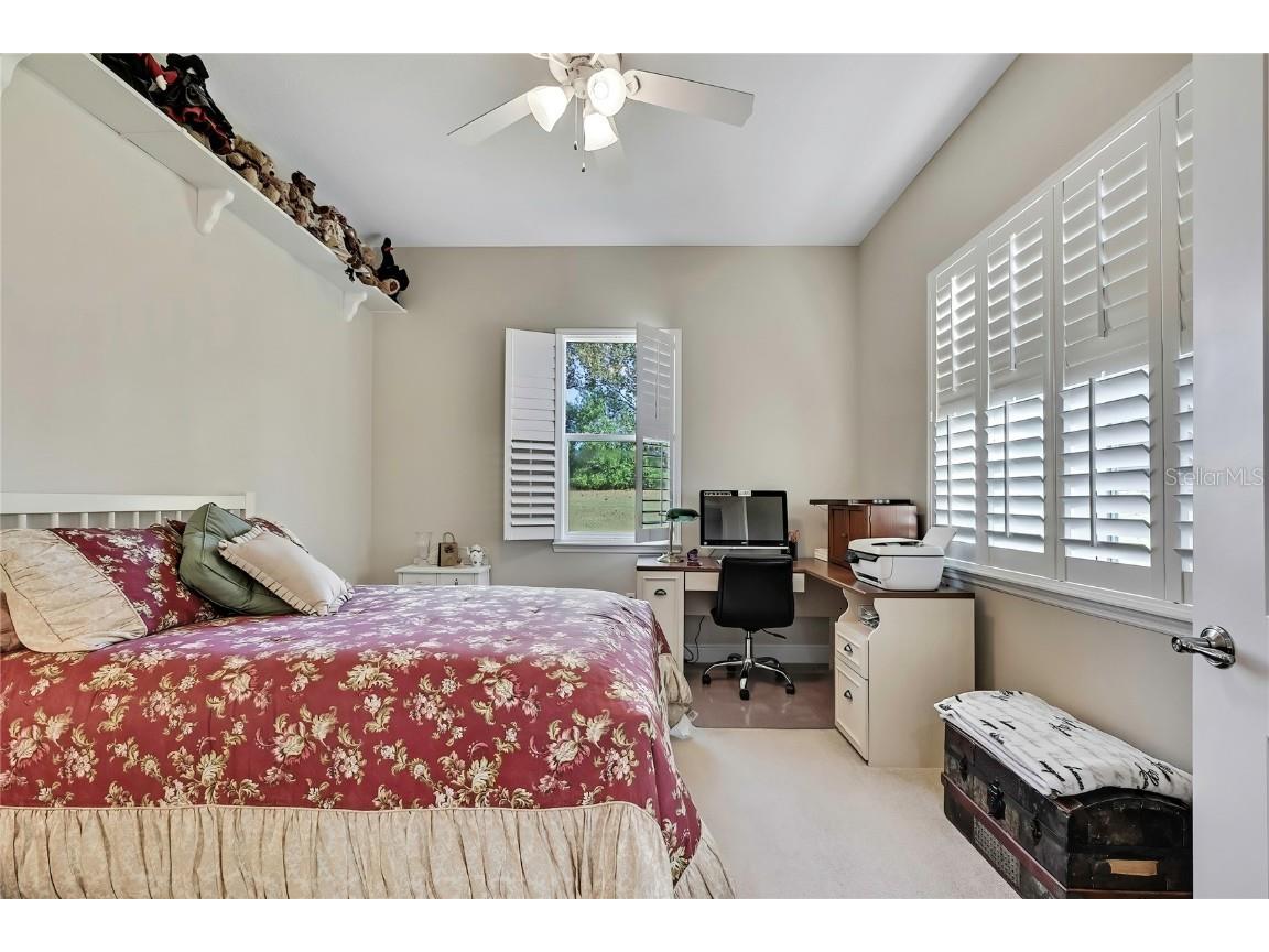 36431 Florrie Mae Lane Dade City FL 33523 W7880574 image47