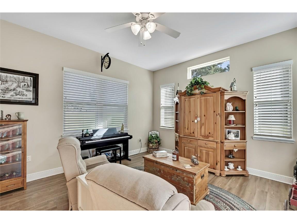 36431 Florrie Mae Lane Dade City FL 33523 W7880574 image51