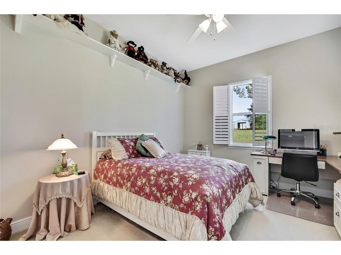 36431 Florrie Mae Lane Dade City FL 33523 W7880574 image55