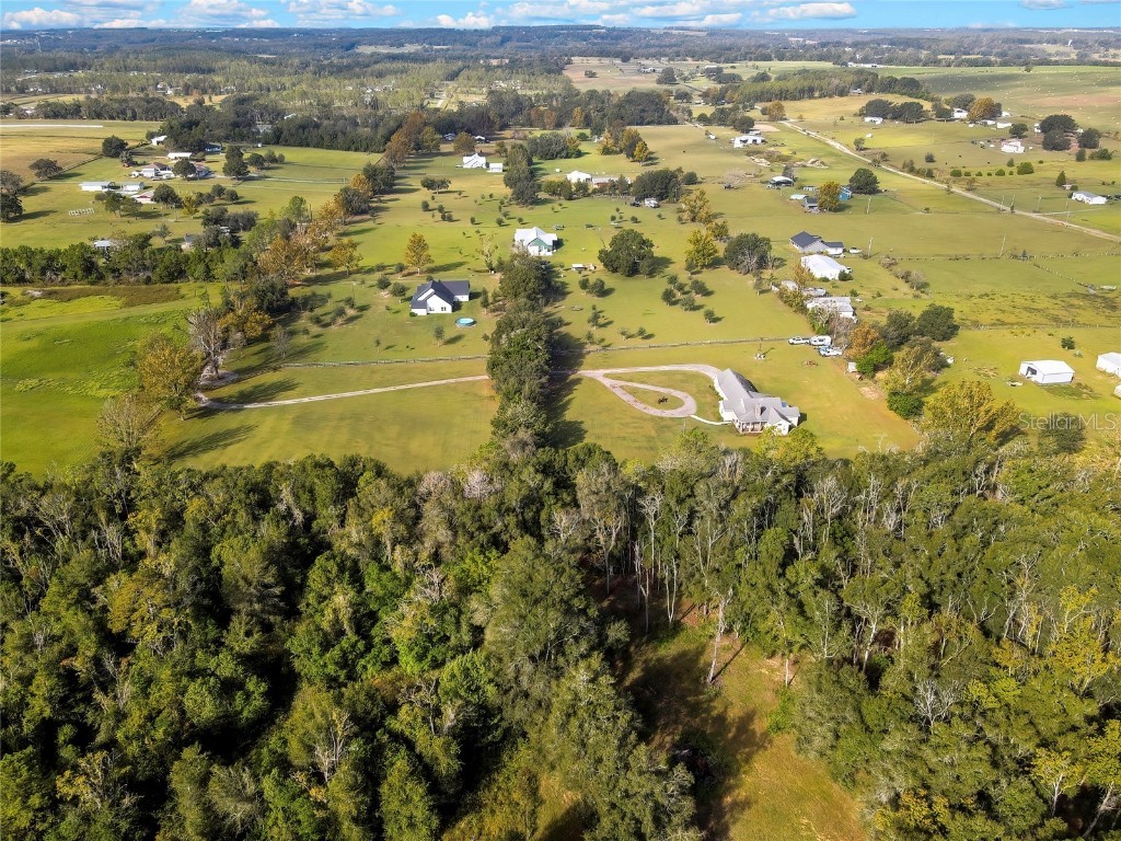 36431 Florrie Mae Lane Dade City FL 33523 W7880574 image8