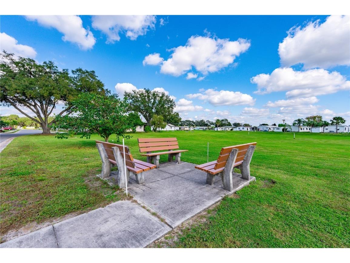 36435 Bonney Drive Zephyrhills FL 33541 TB8398407 image39