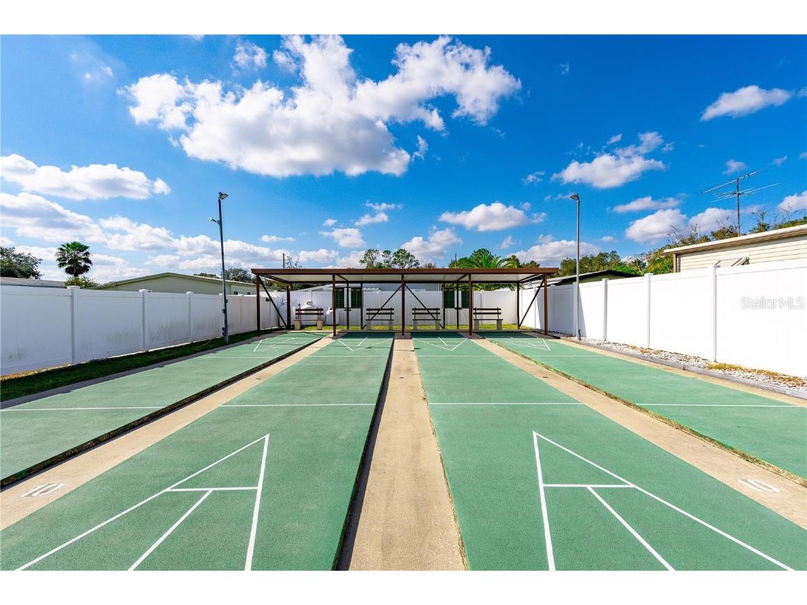 36435 Bonney Drive Zephyrhills FL 33541 TB8398407 image44