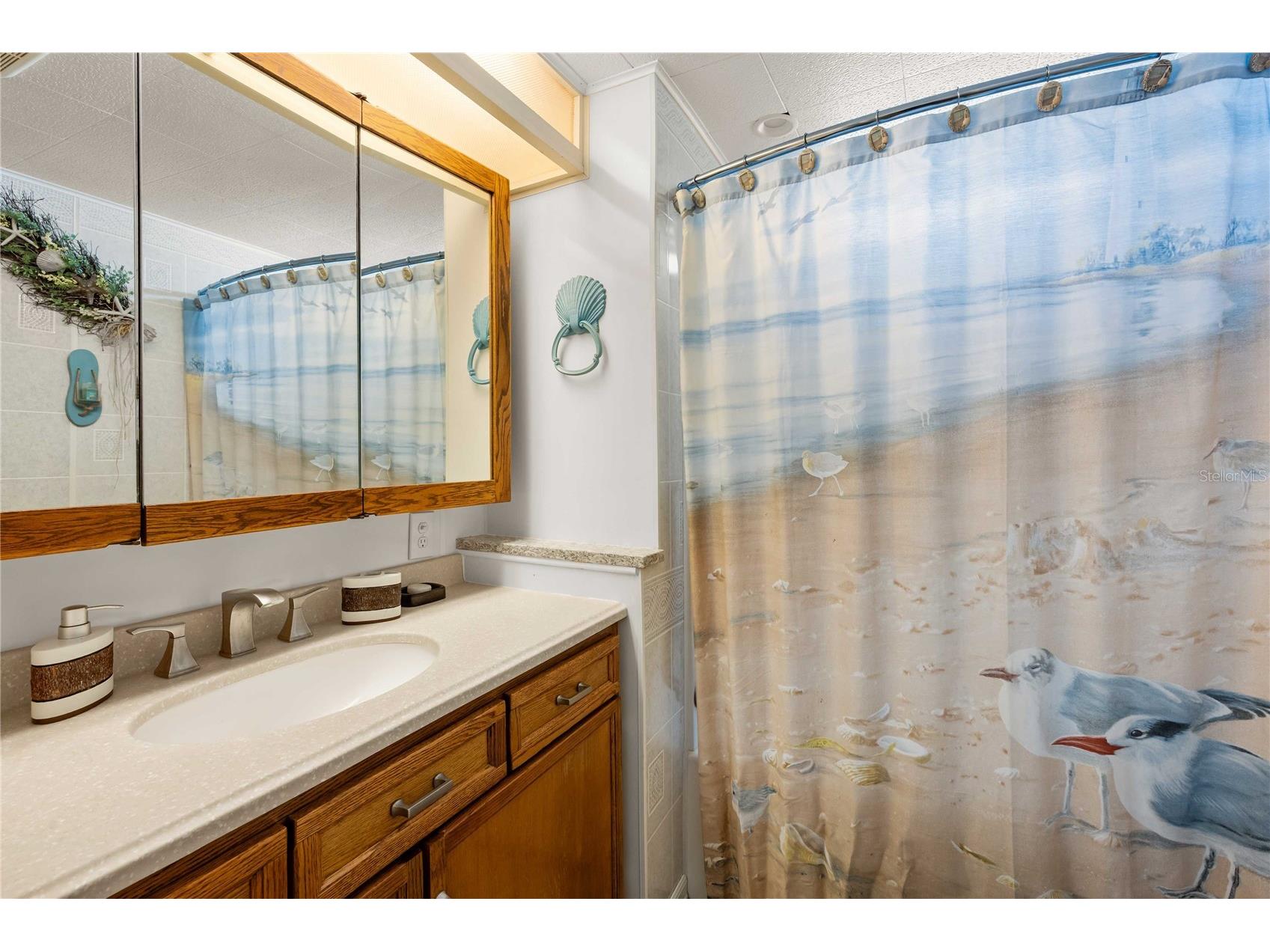 36436 Cordova Circle Zephyrhills FL 33541 TB8503574 image19