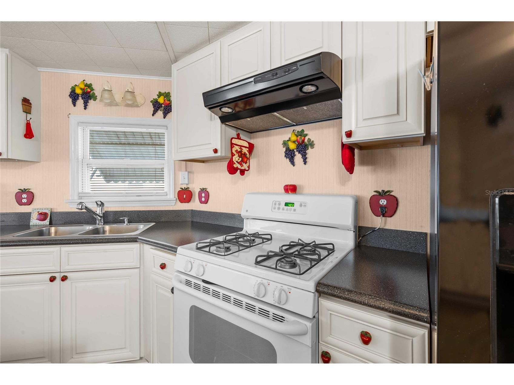 36436 Cordova Circle Zephyrhills FL 33541 TB8503574 image8