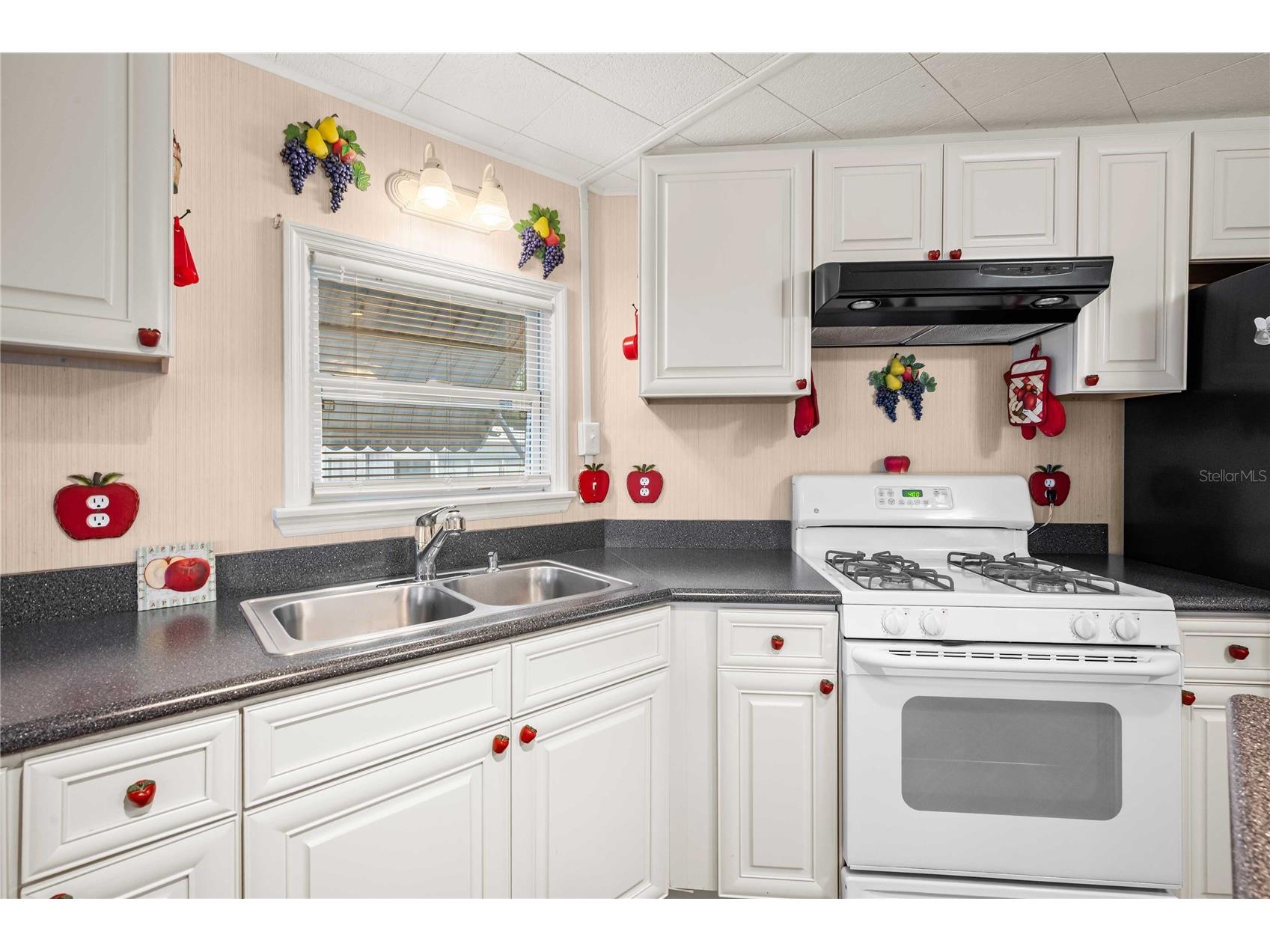 36436 Cordova Circle Zephyrhills FL 33541 TB8503574 image9