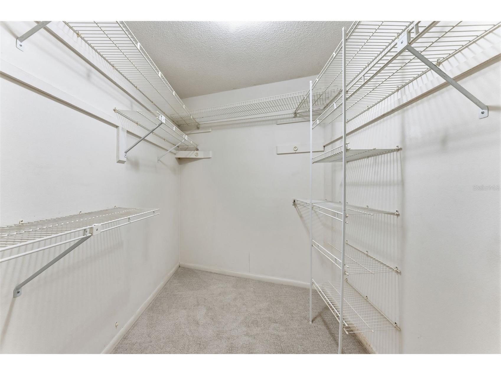 3644 Enterprise Road E Safety Harbor FL 34695 TB8510967 image41