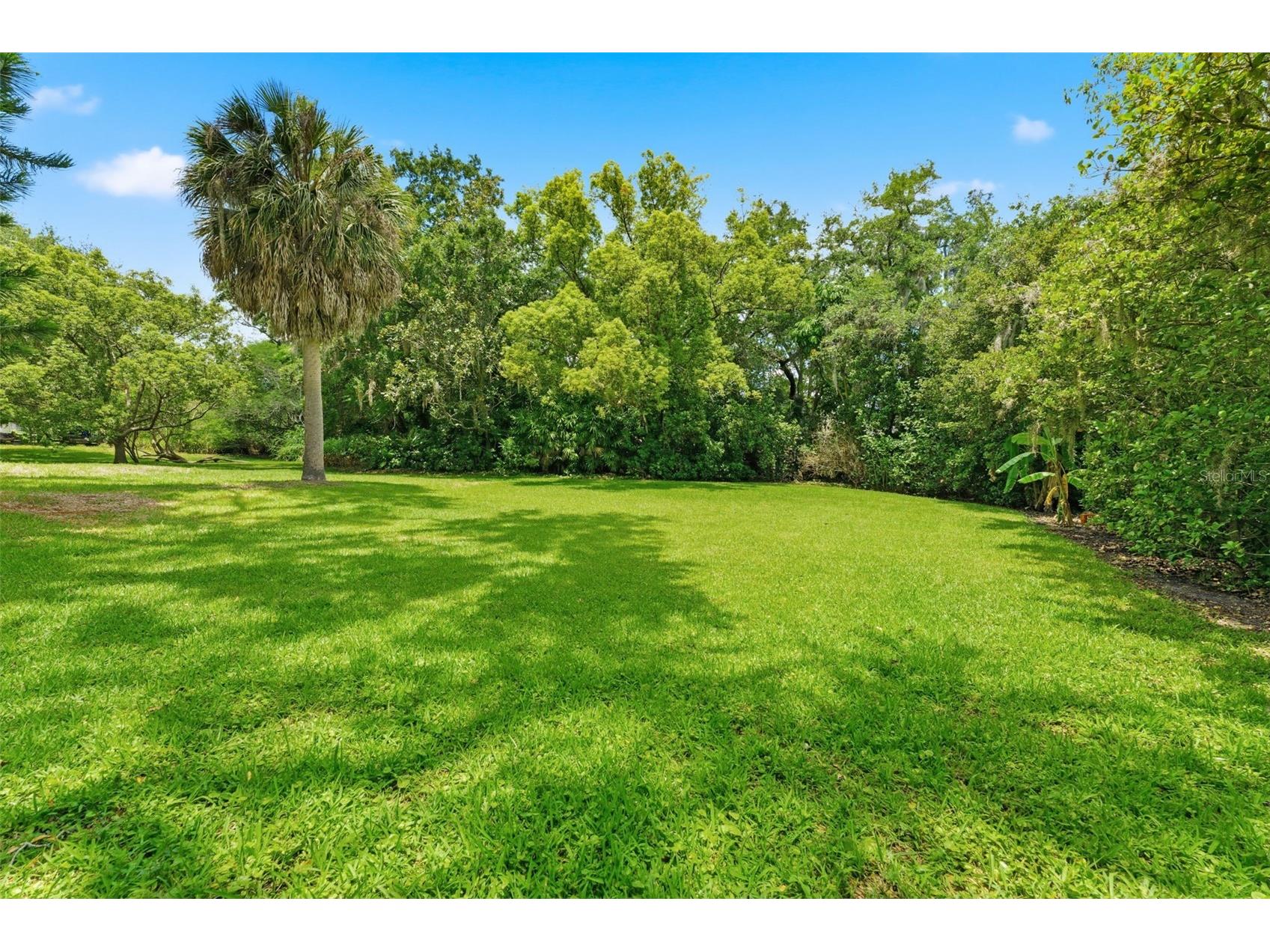 3644 Enterprise Road E Safety Harbor FL 34695 TB8510967 image65