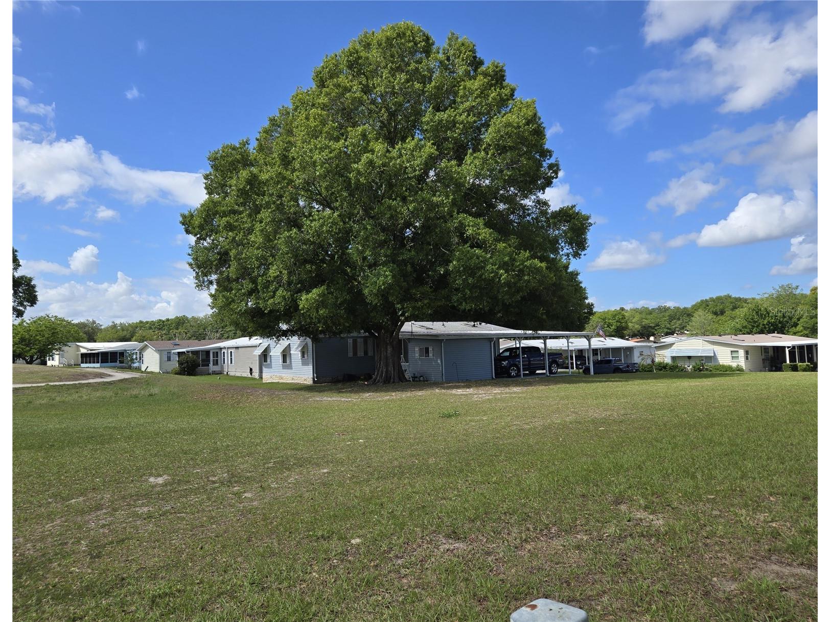 3644 Parway Road #1149 Zellwood FL 32798 - LAKE COHEN AND LAKE GRASSMERE O6395859 image9