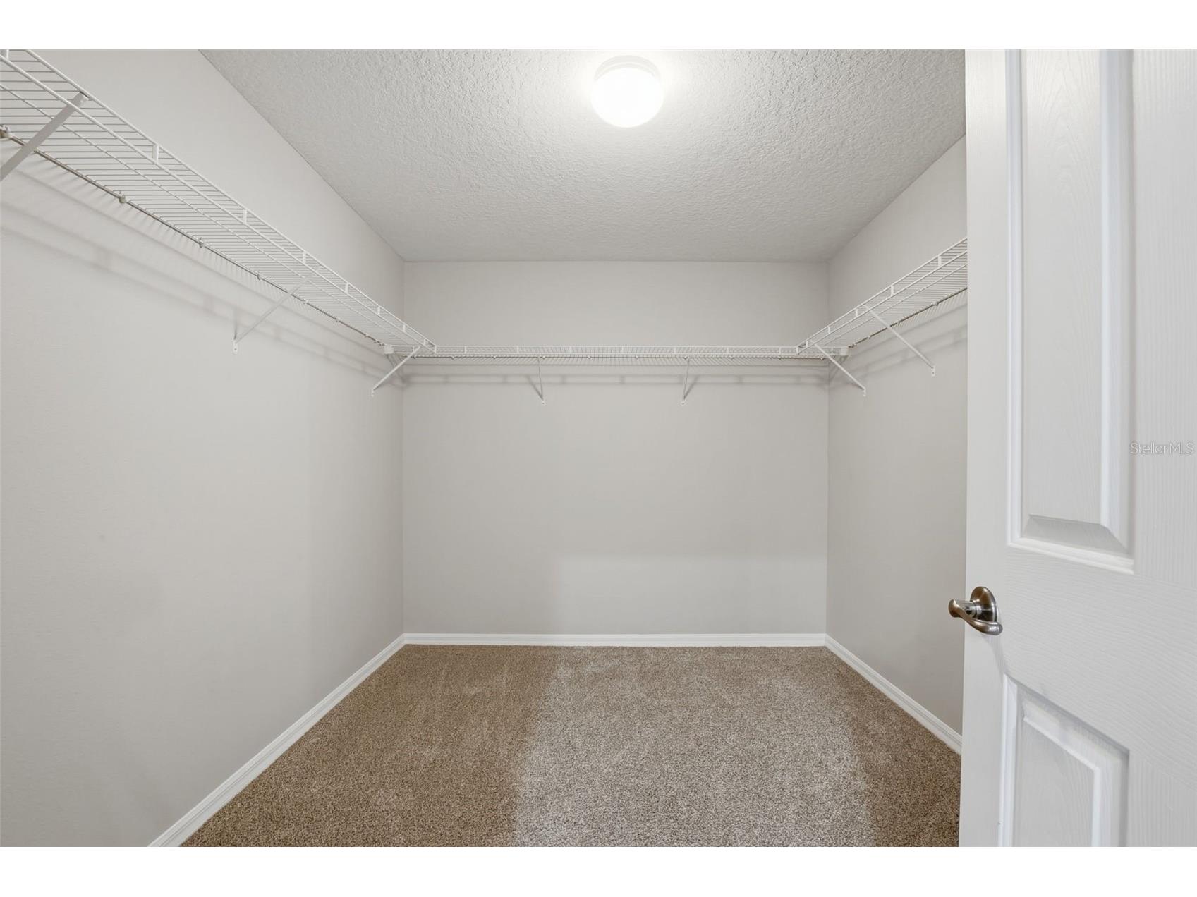 3644 Peppervine Place Wesley Chapel FL 33544 O6366995 image36