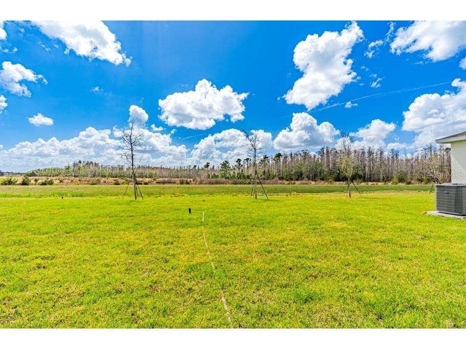 3644 Rolling Ridge Bend Davenport FL 33837 O6388399 image9