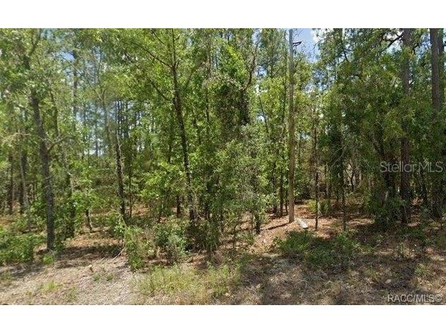 3644 W Galleon Street Citrus Springs FL 34433 O6218114 image1