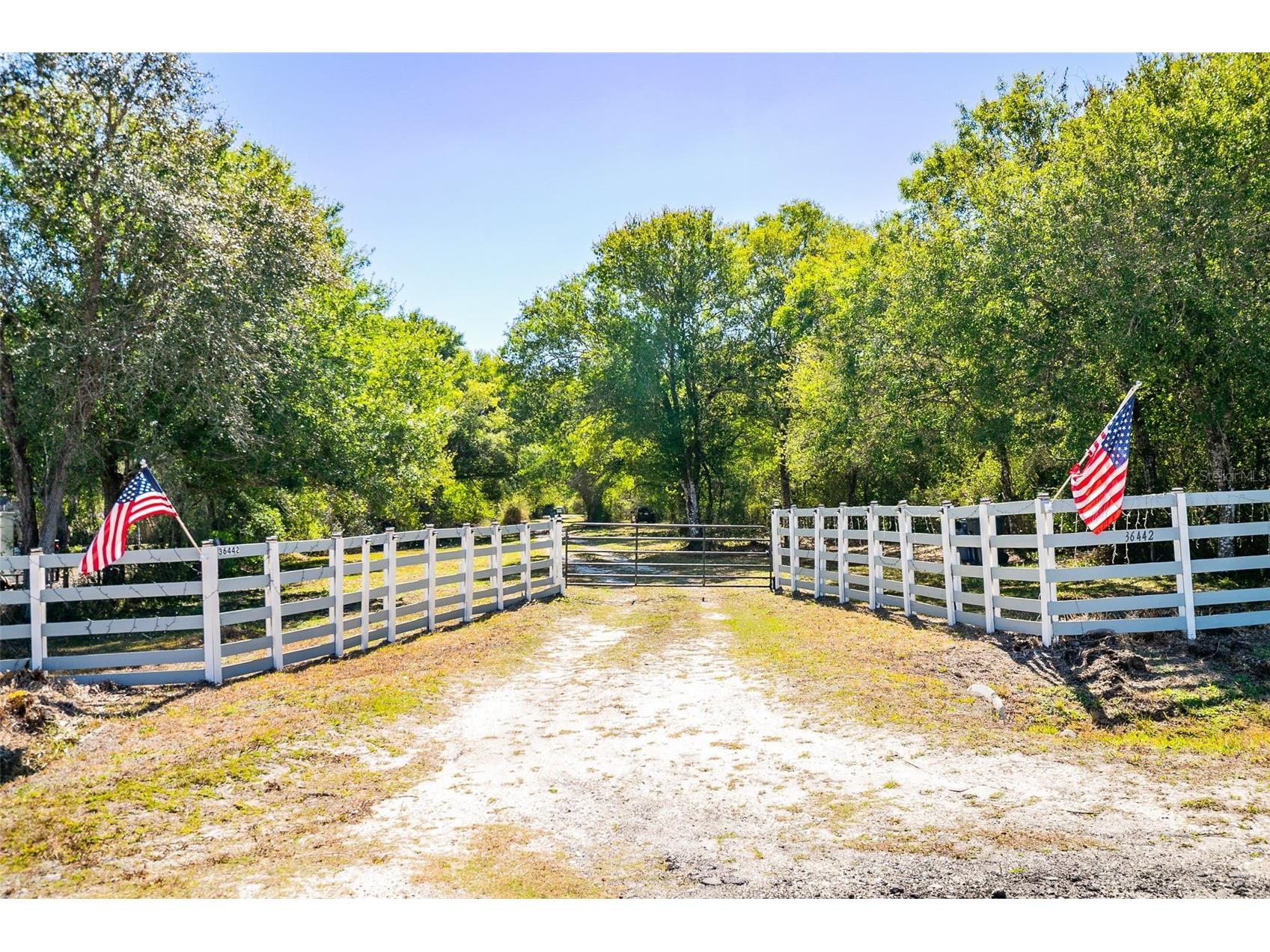 36442 Singletary Road Myakka City FL 34251 A4683696 image3