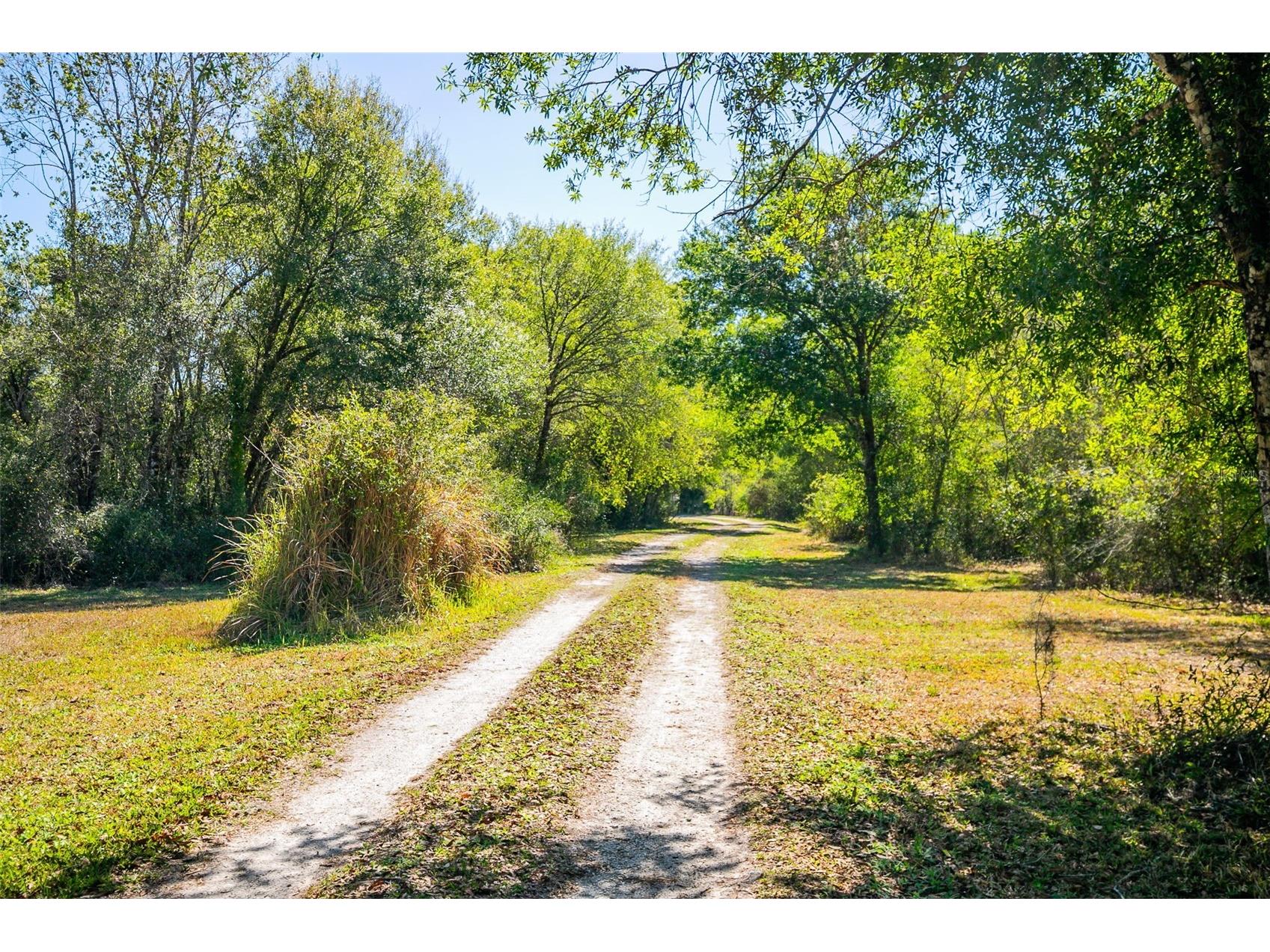 36442 Singletary Road Myakka City FL 34251 A4683696 image5